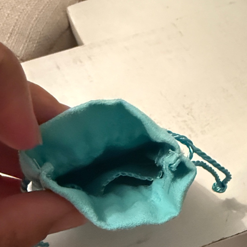 Tiffany & Co. Turquoise Jewelry Pouch - Picture 4 of 4